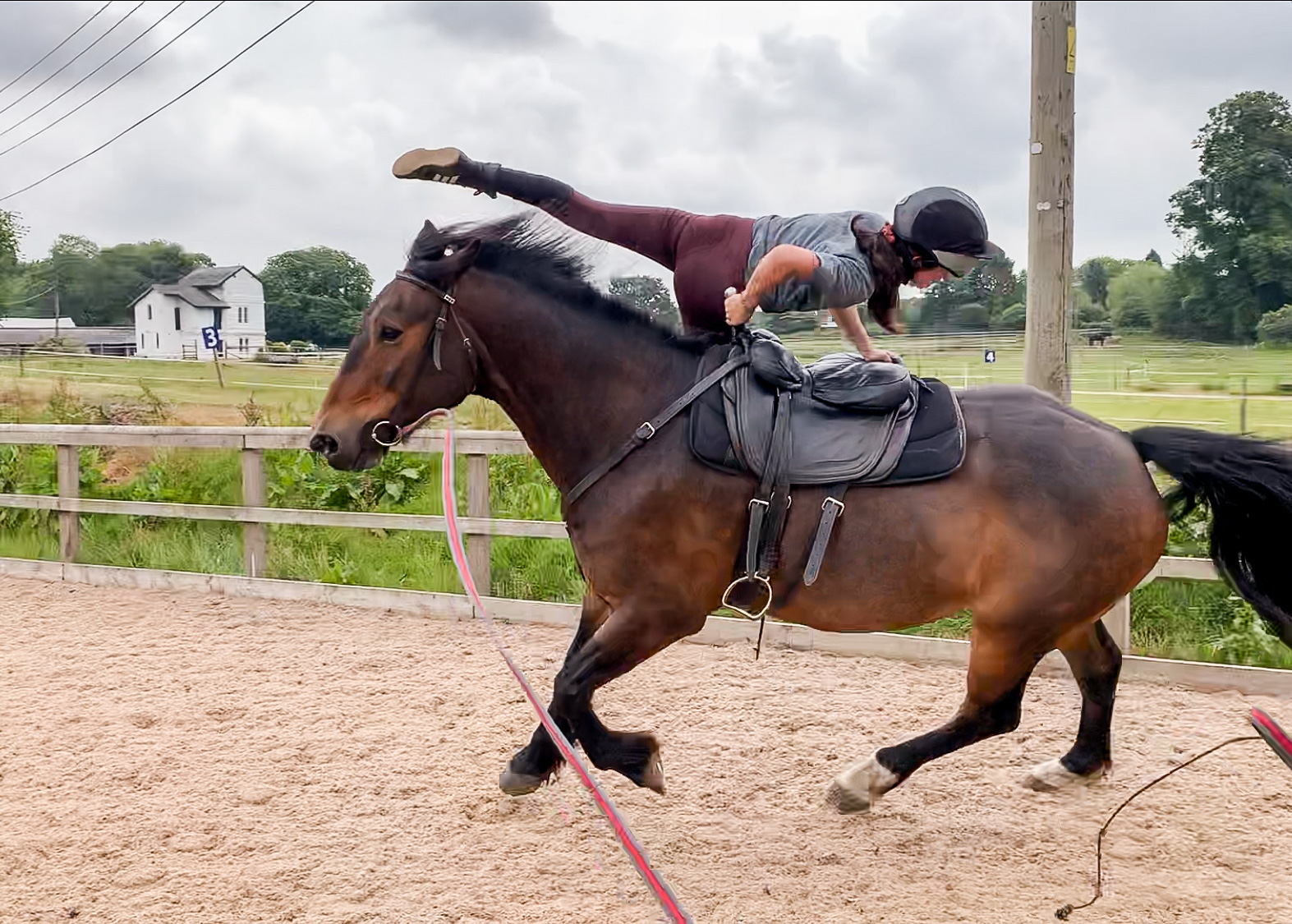 Trick Riding SemiPrivate Lesson