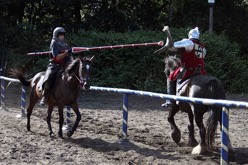 Jousting Experience 
