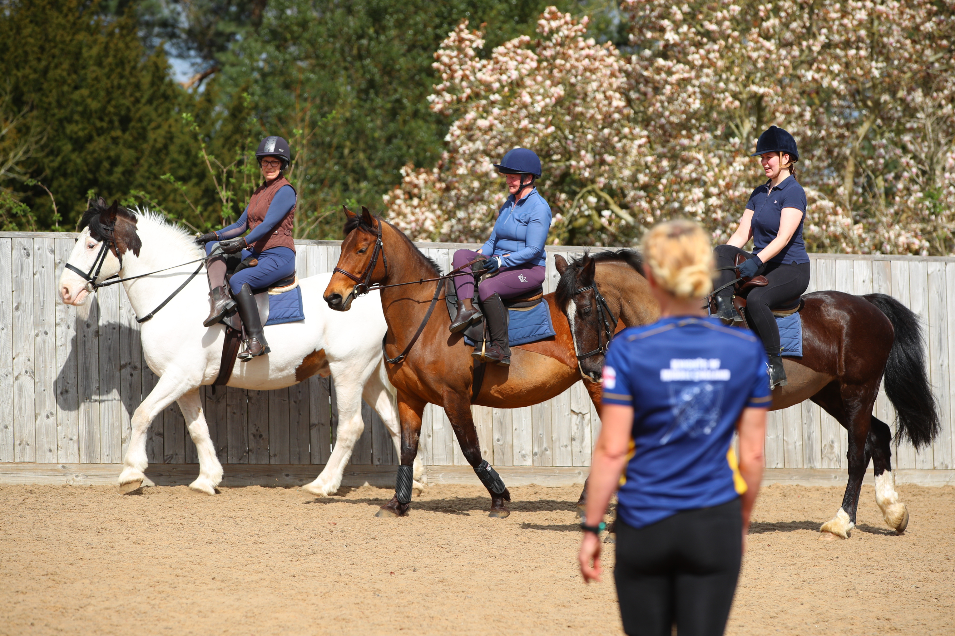 Side Saddle » Tuition And Courses » Home